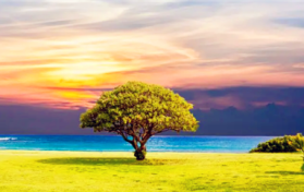 2024年四月份过了清明就温暖了吗图1