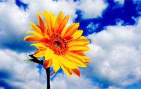 2024年四月份过了清明就温暖了吗图3