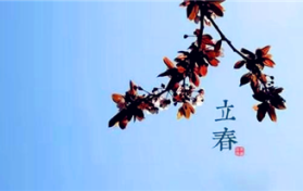 2024年打春是几九图2