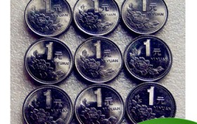 1999年1元硬币价目表（1999的1元硬币什么价格）图2