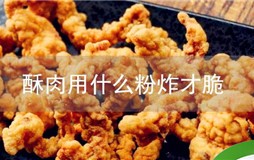 酥肉粉能够用什么代替（取代酥肉粉的美味佳肴选择）