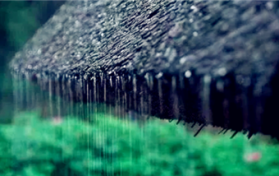 2024年是最热门的一年吗图1