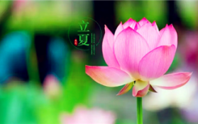 2024年立夏以后就热了吗图3